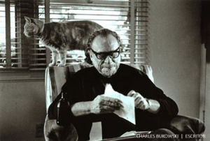 Bukowski-gato