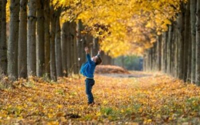 Όπως τα φύλλα πέφτοντας… (“Παρατηρητής της Θράκης”, 14/10/2023)