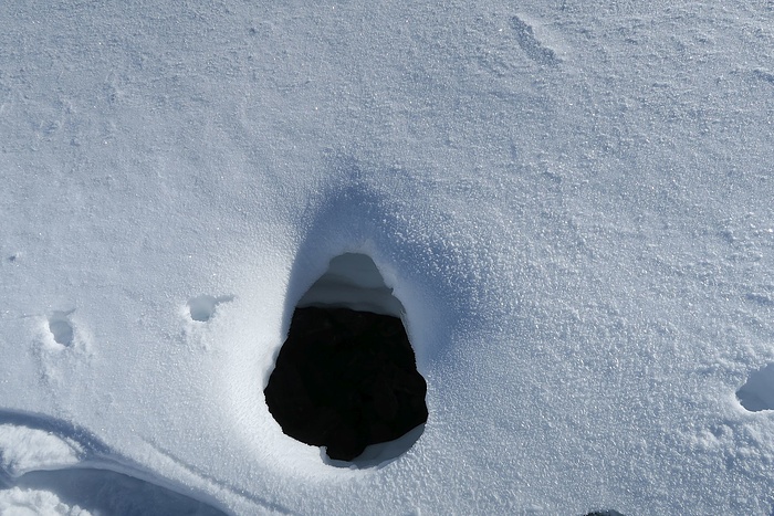 Μια τρύπα στο χιόνι (χριστουγεννιάτικο αφήγημα), Παρατηρητής Θράκης, 30 Δεκεμβρίου 2023
