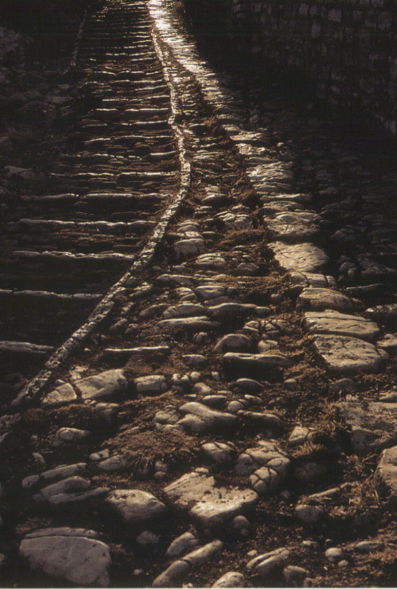 “Από το σκοτεινό υπόγειο στον ηλιόλουστο κήπο”, Μια πρόταση ανάγνωσης της νουβέλας του Βασίλη Τσιαμπούση, Ο κήπος των ψυχών, εκδ. Εστία 2021, (δημοσίευση: Παρατηρητής της Θράκης, 22/08/2024)